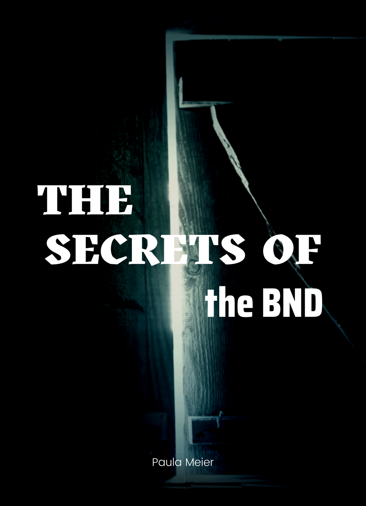 The Secrets of the BND