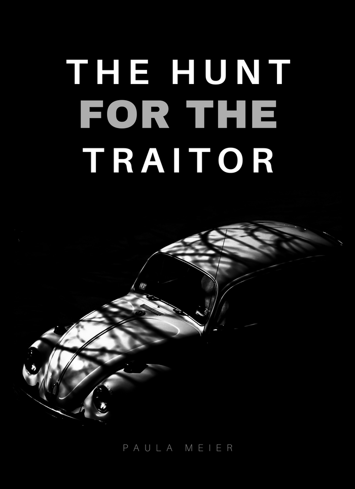 The Hunt for the Traitor