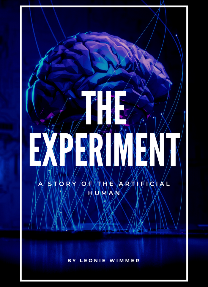 The experiment
