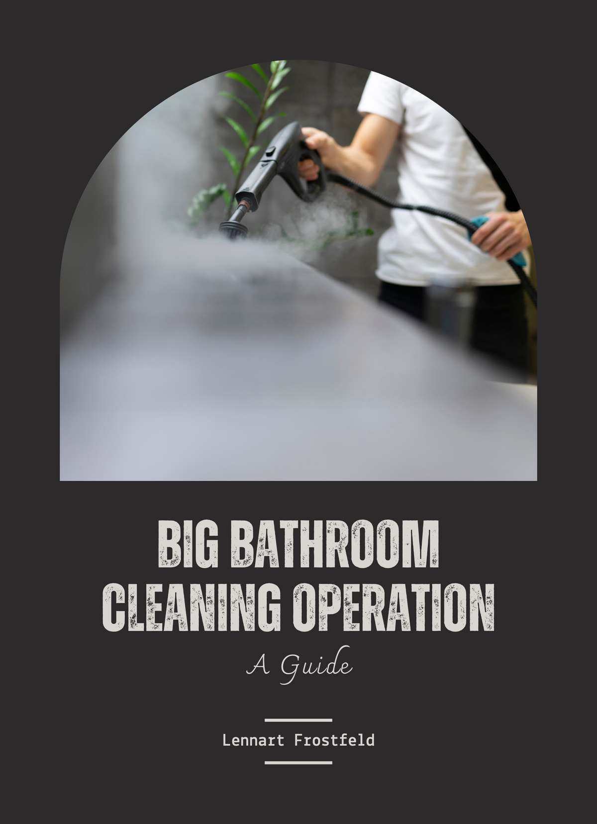 Big Bathroom Cleaning Operation