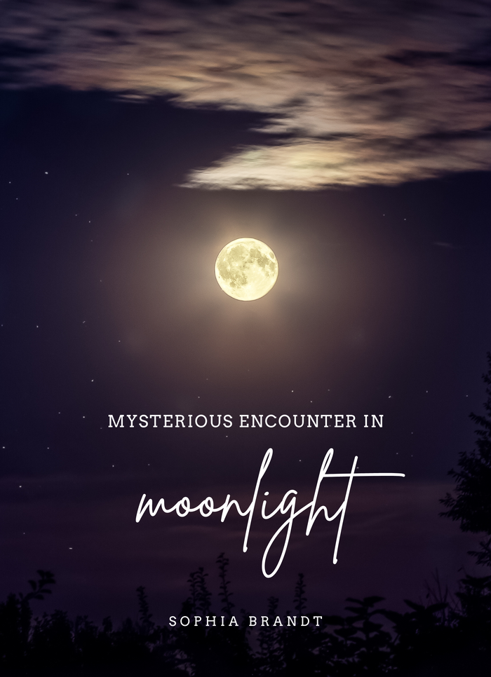 Mysterious encounter in moonlight