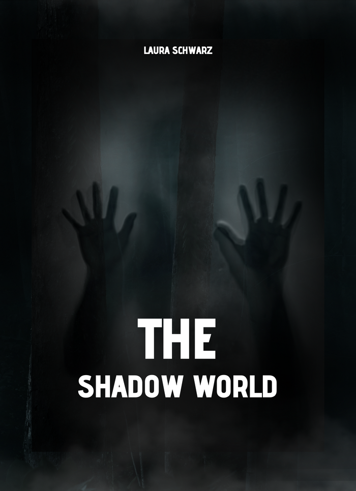 The Shadow World