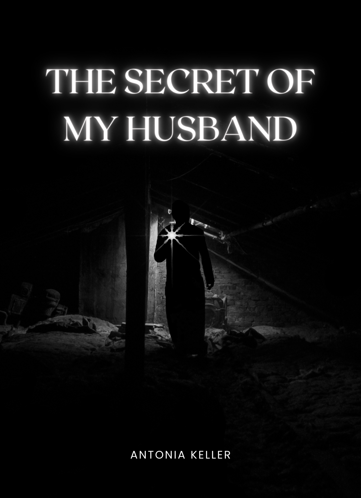 The Secret of My Husband