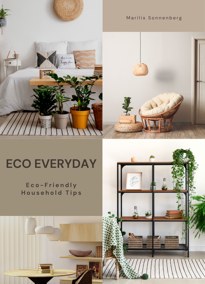 Eco Everyday