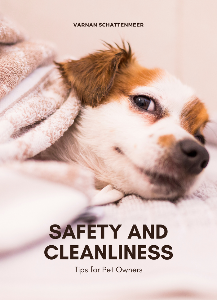 Safety and Cleanliness