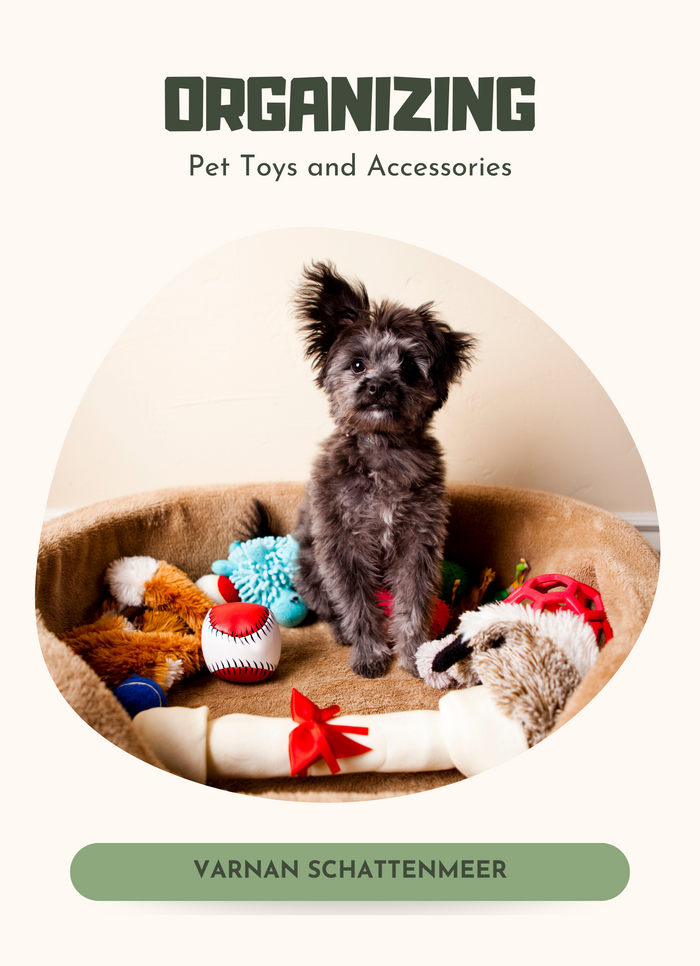 Organizing Pet Toys and Accessories