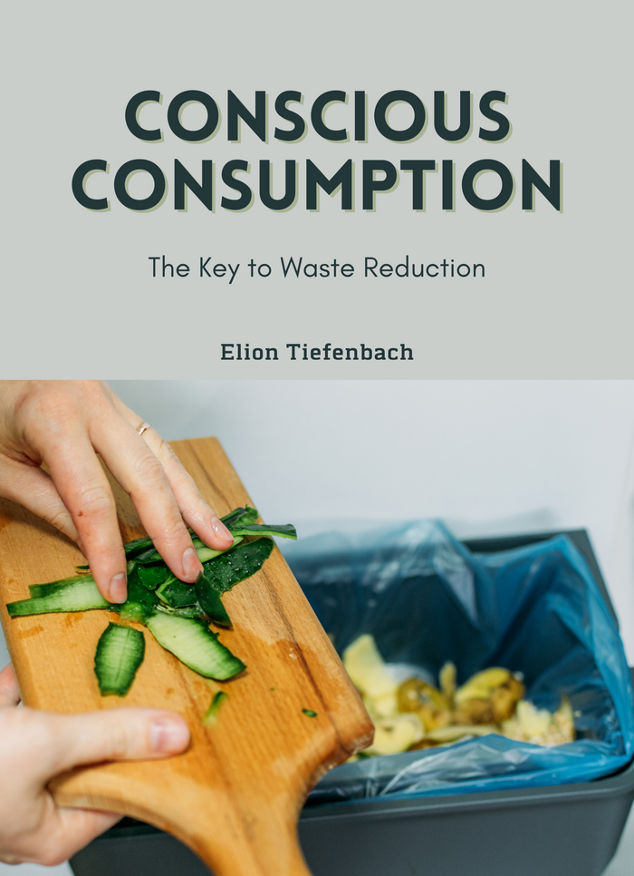 Conscious Consumption