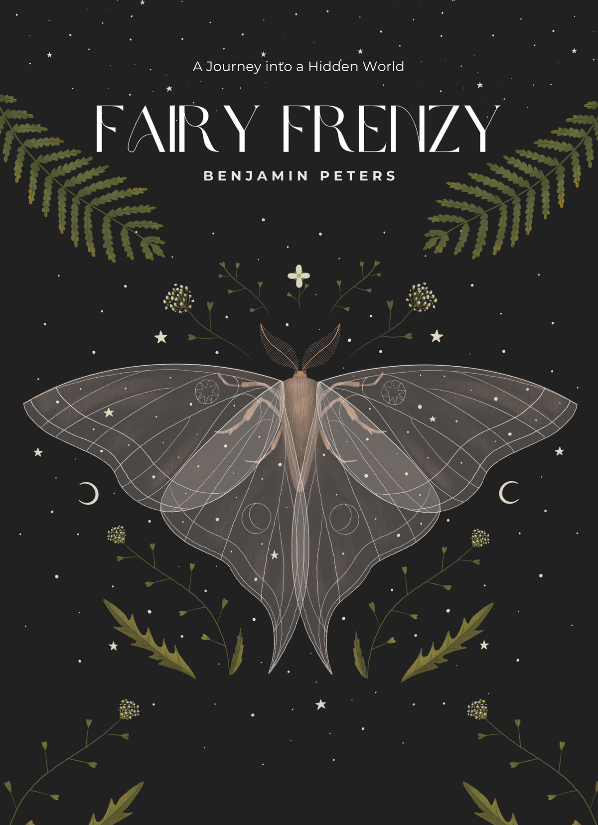 Fairy Frenzy