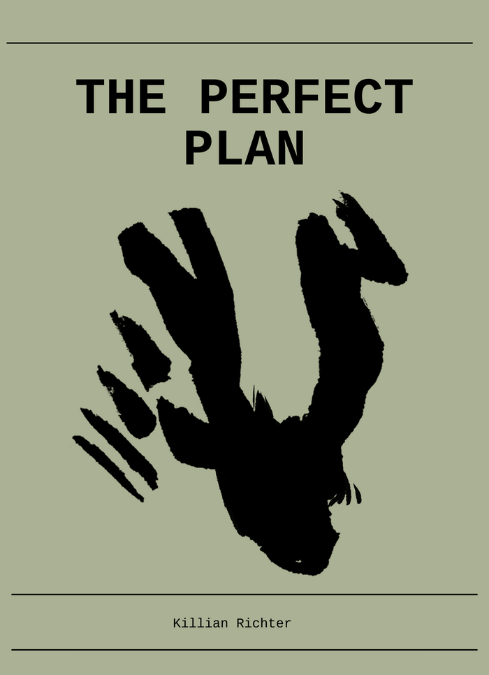 The Perfect Plan