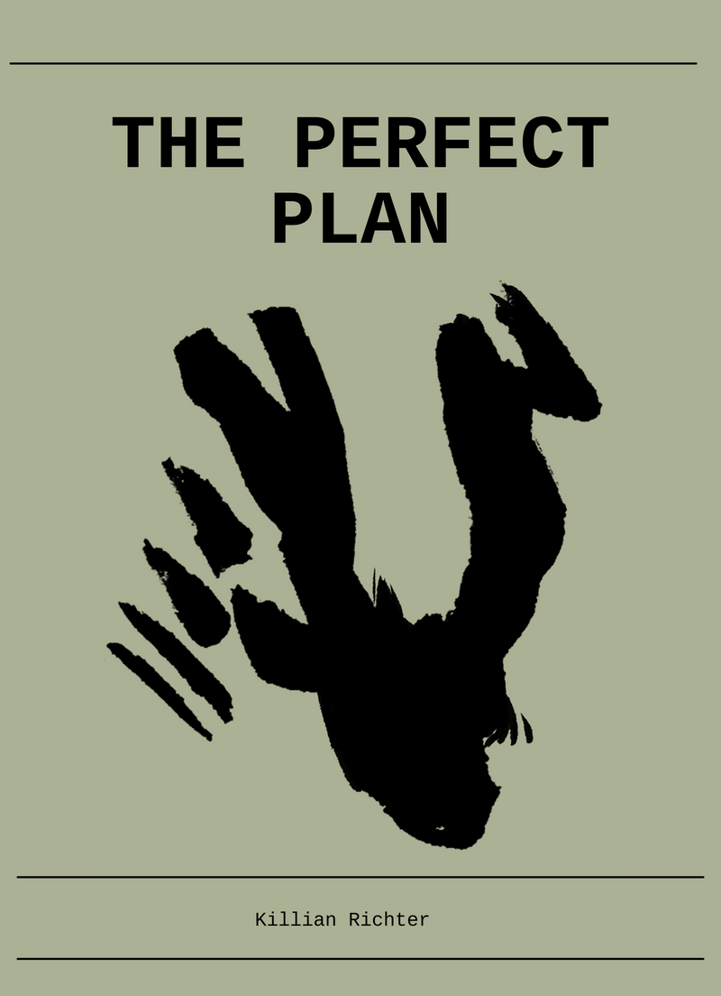 The Perfect Plan