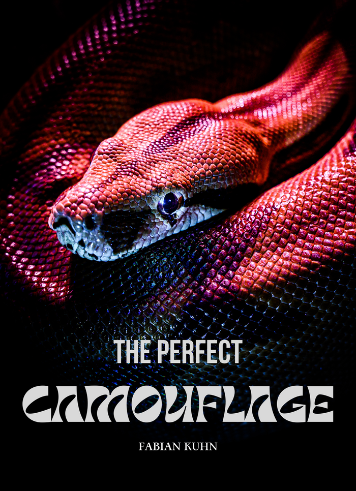 The Perfect Camouflage