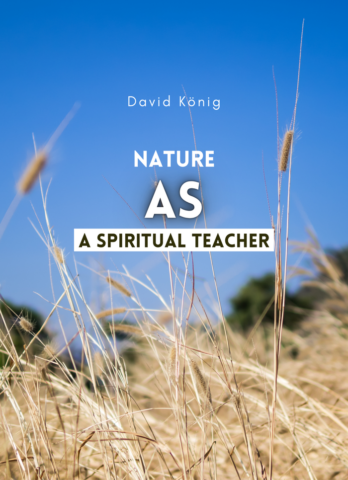 Nature as a spiritual teacher