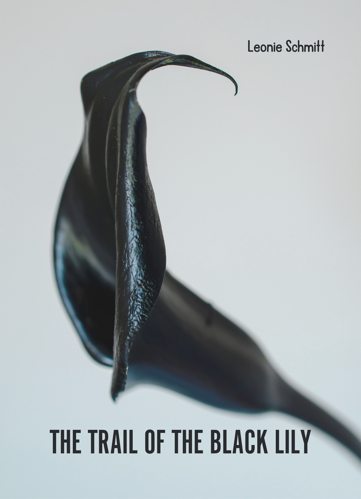 The Trail of the Black Lily