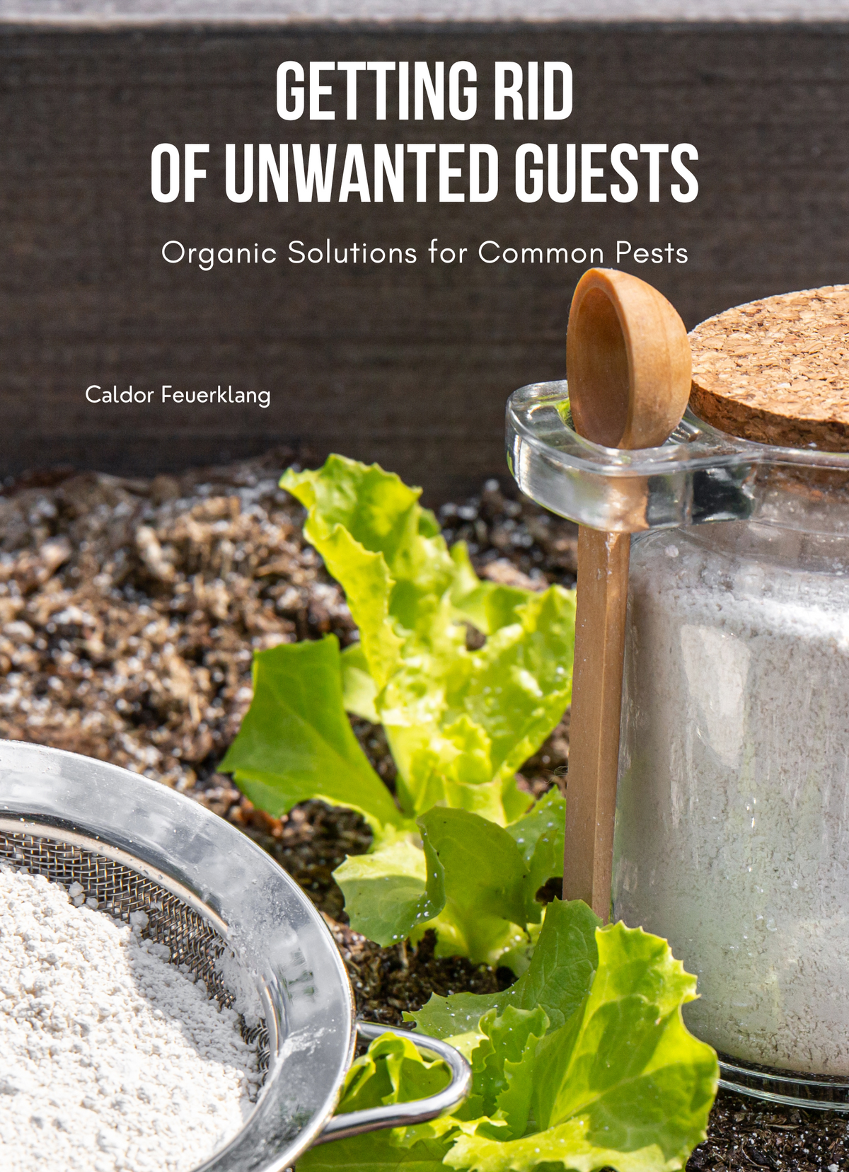 Getting Rid of Unwanted Guests