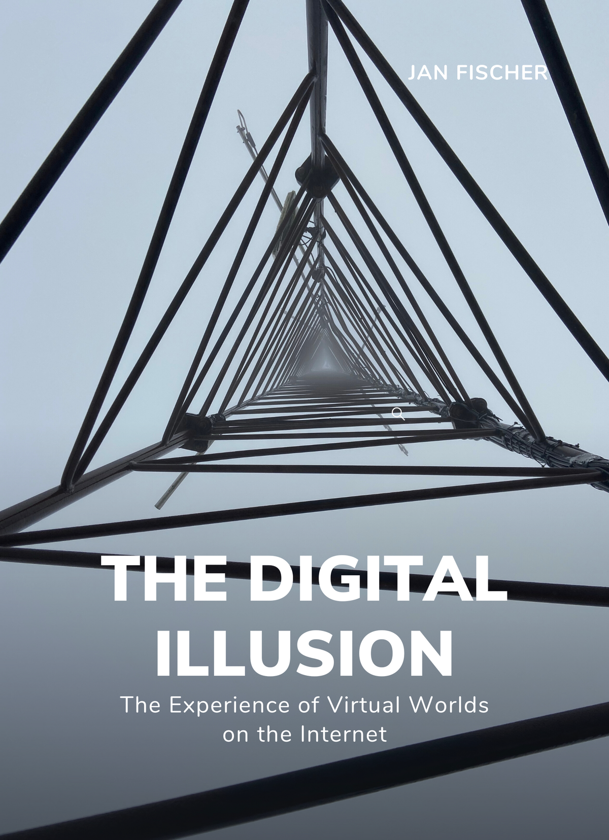 The Digital Illusion