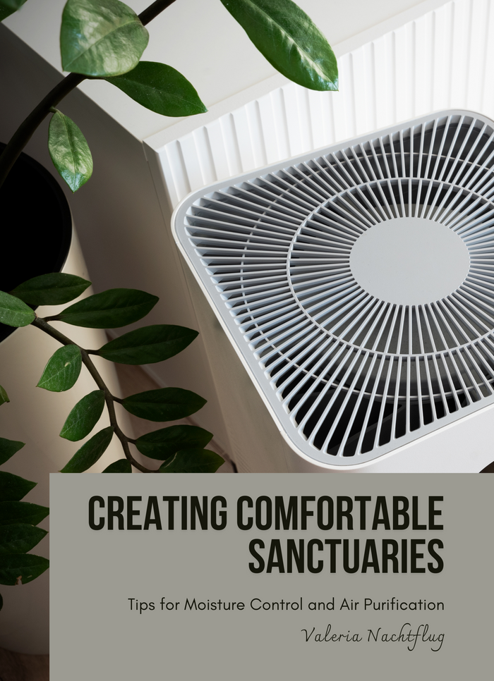 Creating Comfortable Sanctuaries