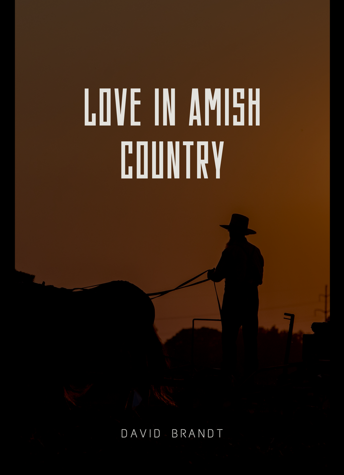 Love in Amish Country