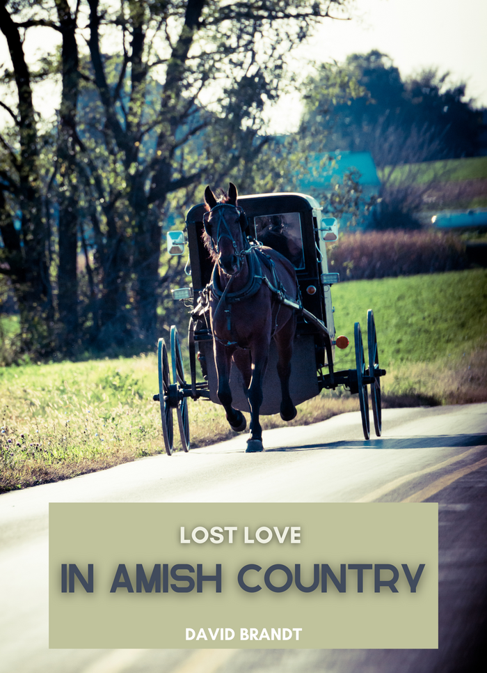 Lost love in Amish country