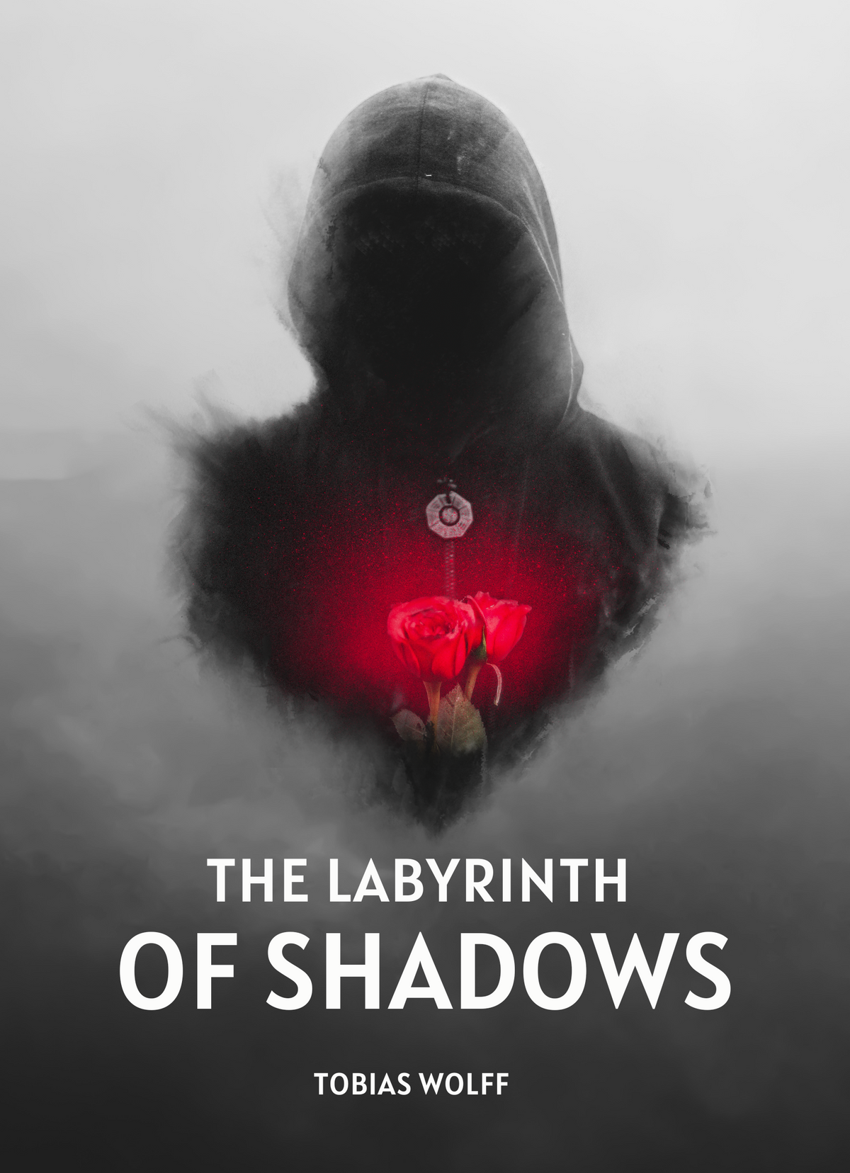 The Labyrinth of Shadows