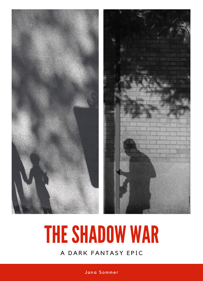 The Shadow War