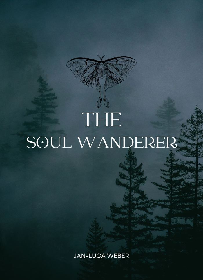 The Soul Wanderer