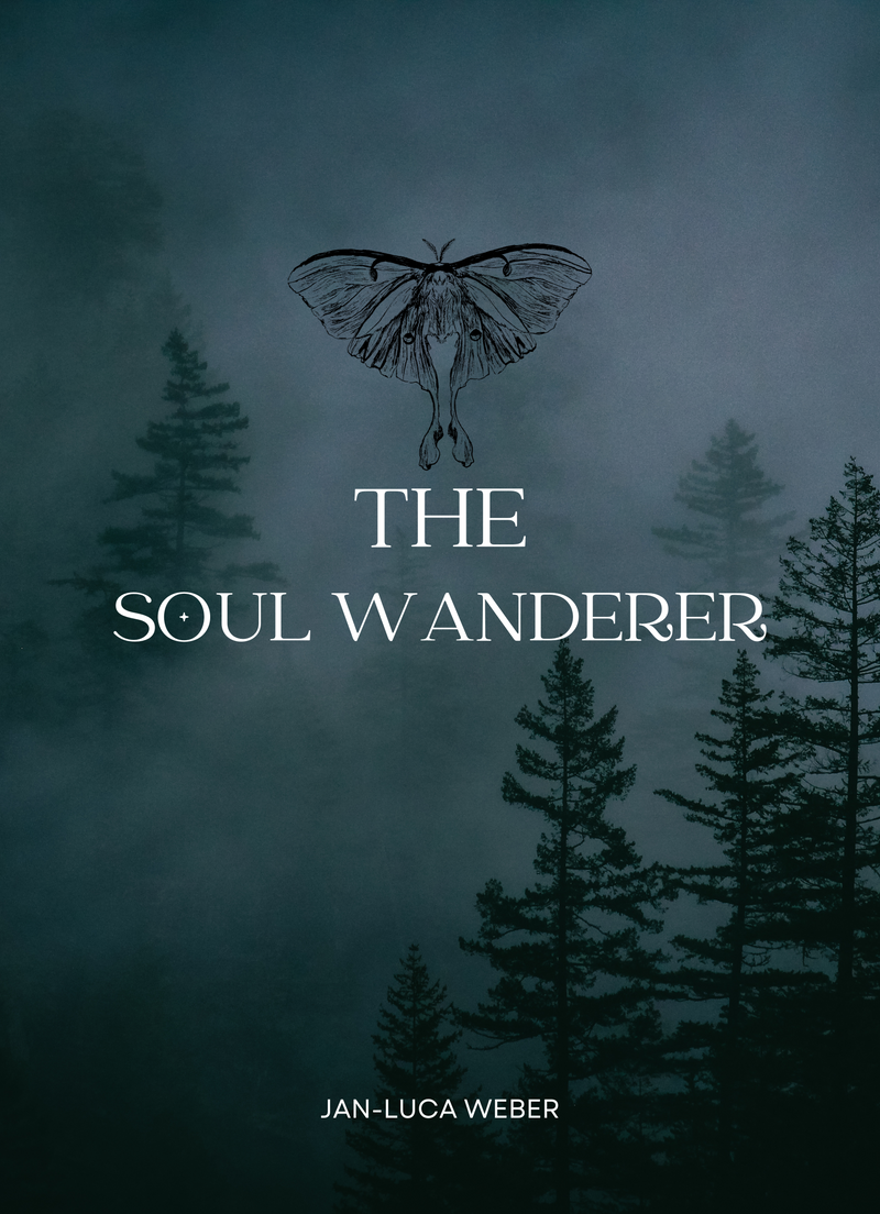 The Soul Wanderer