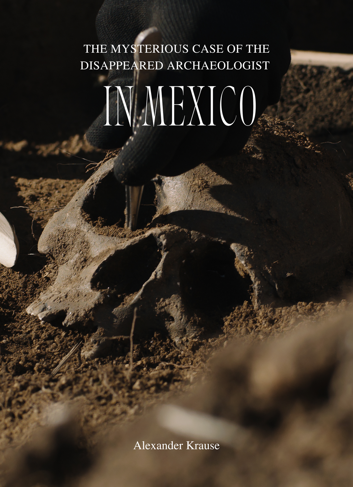 The Mysterious Case of the Disappeared Archaeologist in Mexico