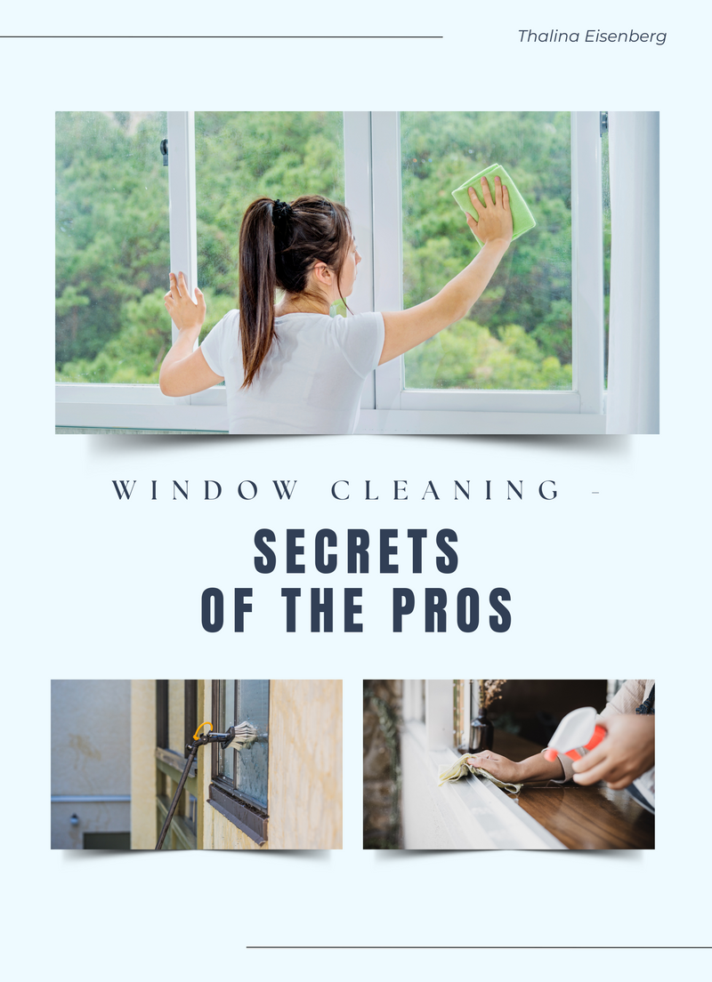 Window Cleaning - Secrets of the Pros