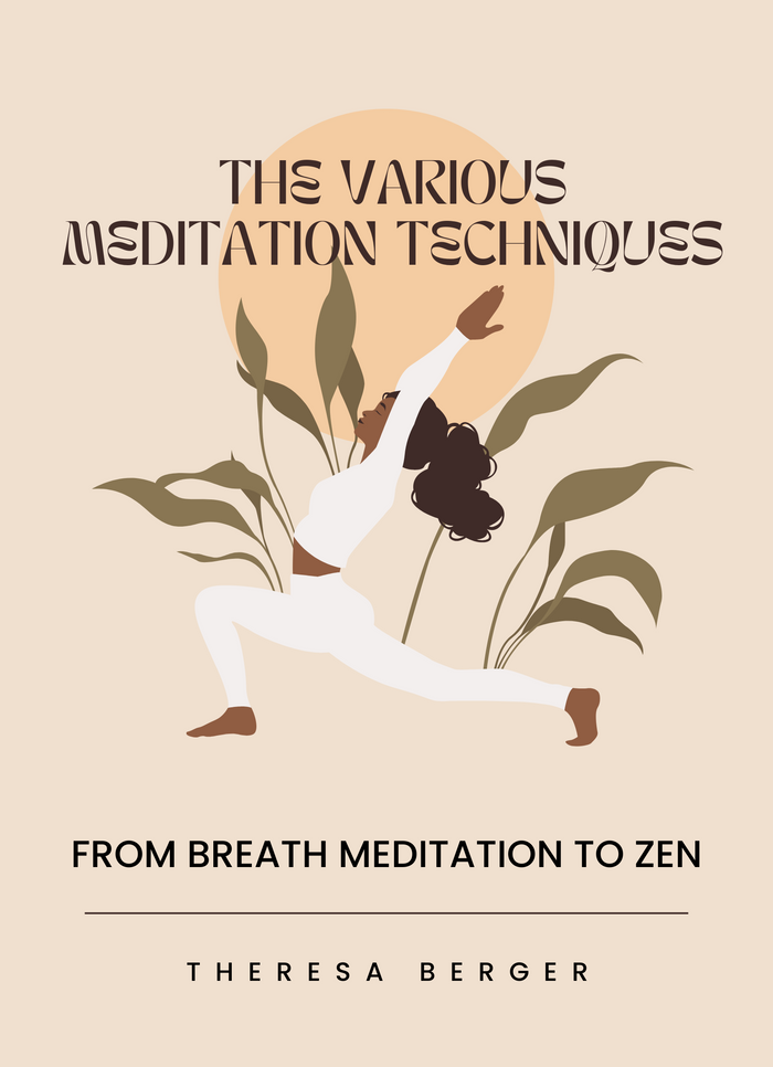 The various meditation techniques