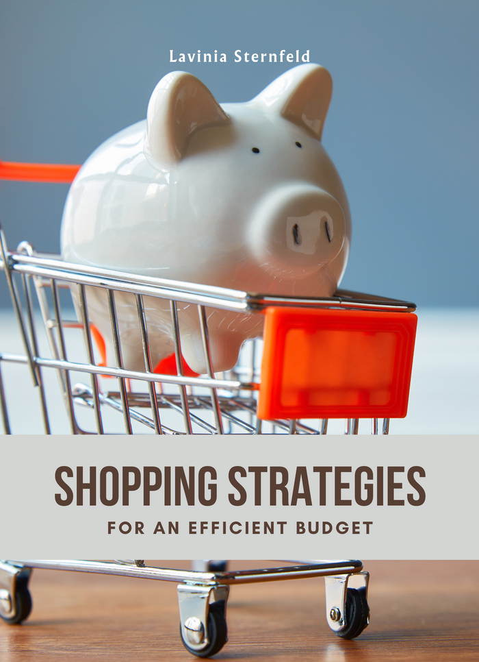 Shopping Strategies for an Efficient Budget