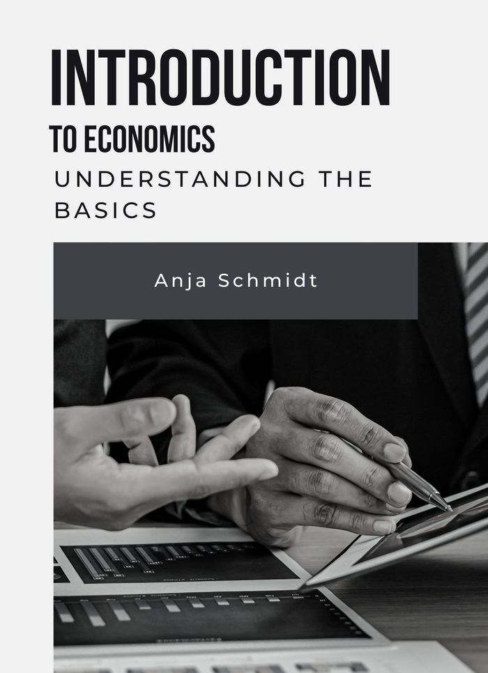 Introduction to economics