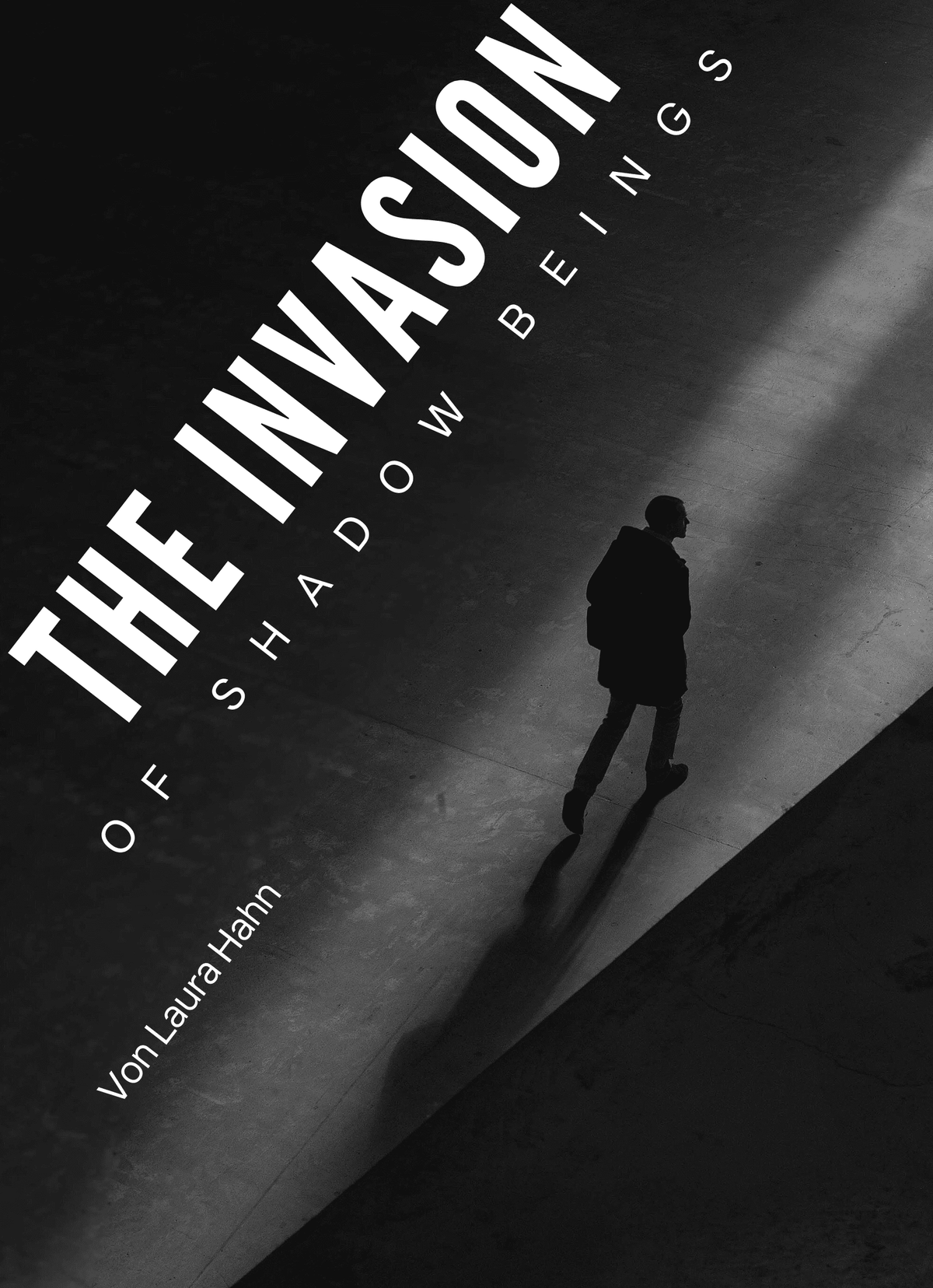 The invasion of shadow beings